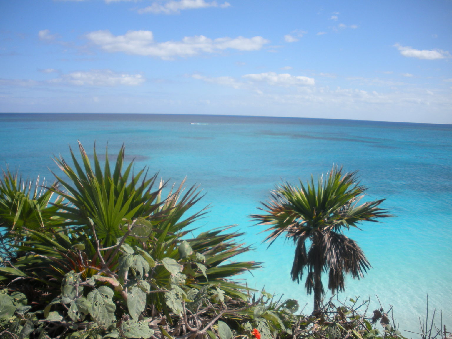 Cheap Flights Austin to/from Tulum 281293 r/t [JuneFebruary